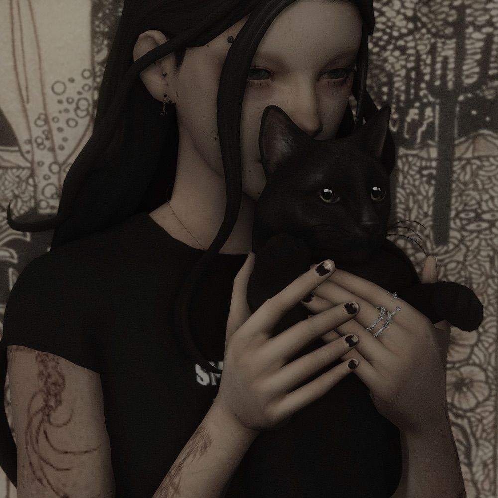 van 🐇