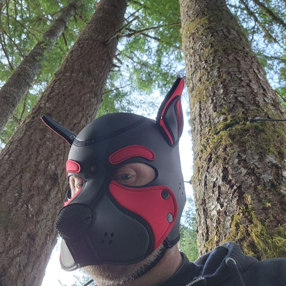 Pup Bones