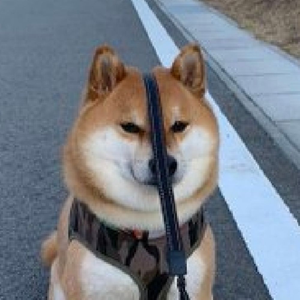 SasquashBolson