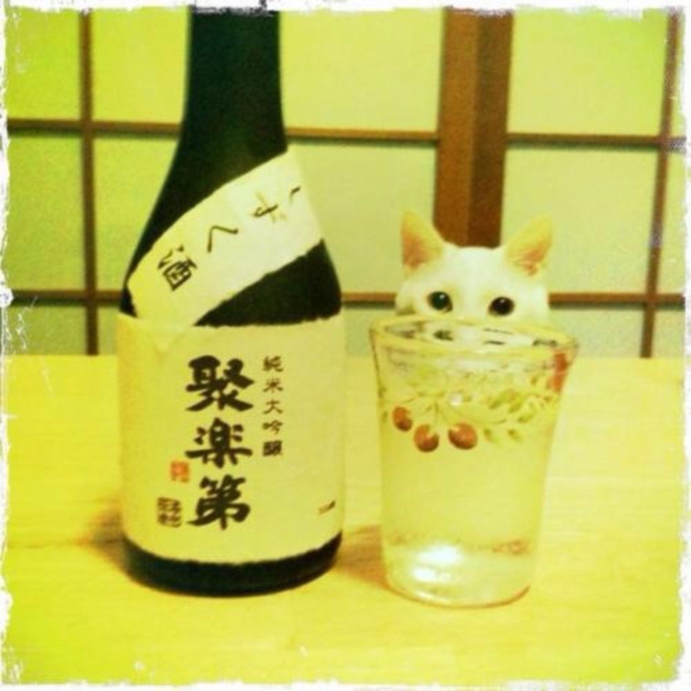 sunzriver | すんｚりヴぇｒ
