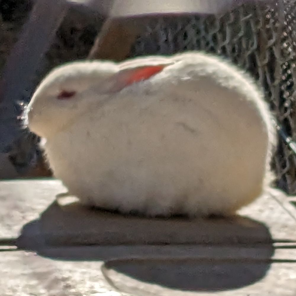 むつぐ