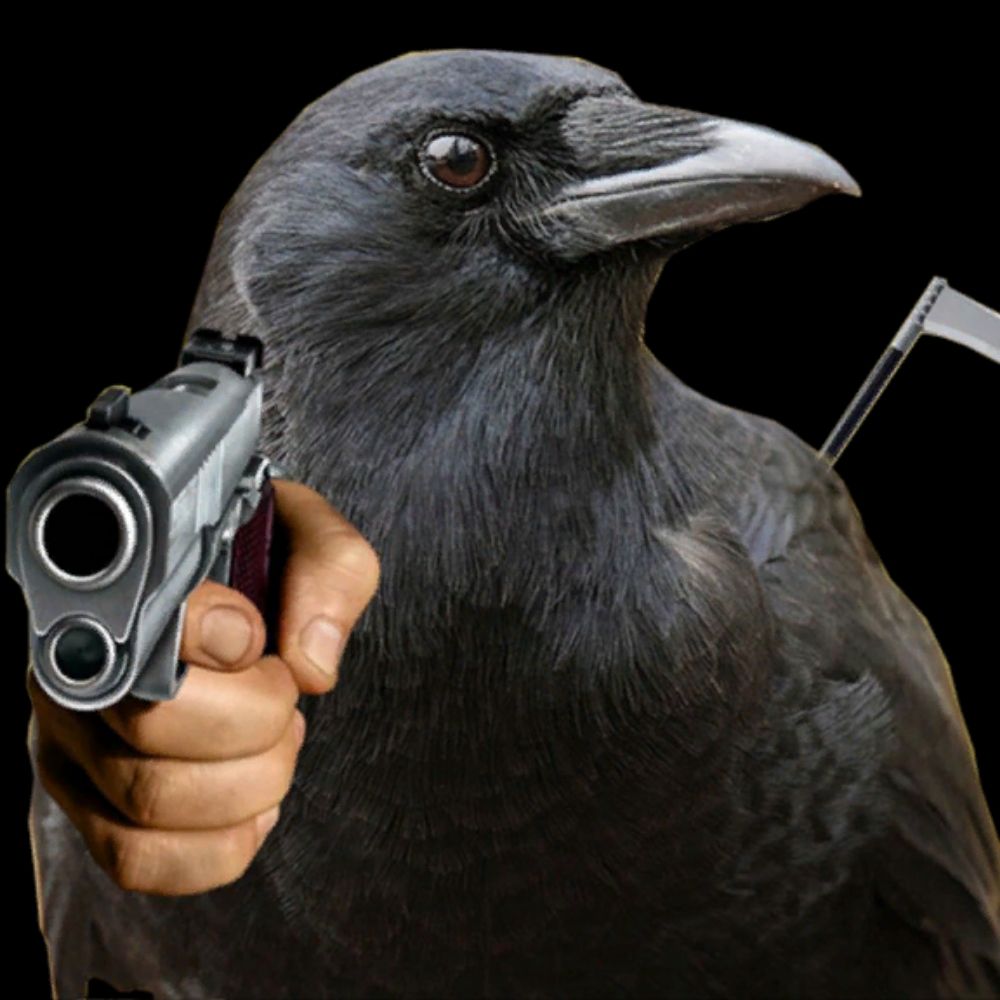 Corvus/Xonklo