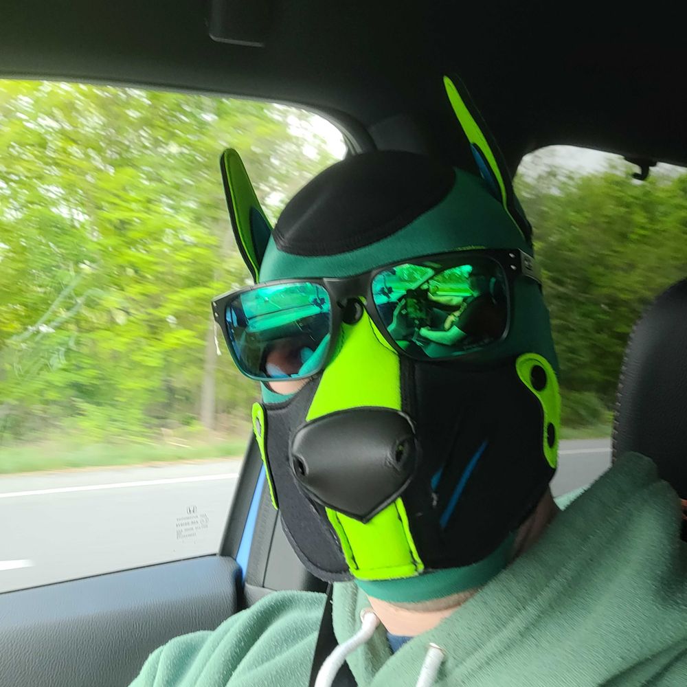 Pup Scout of House Green