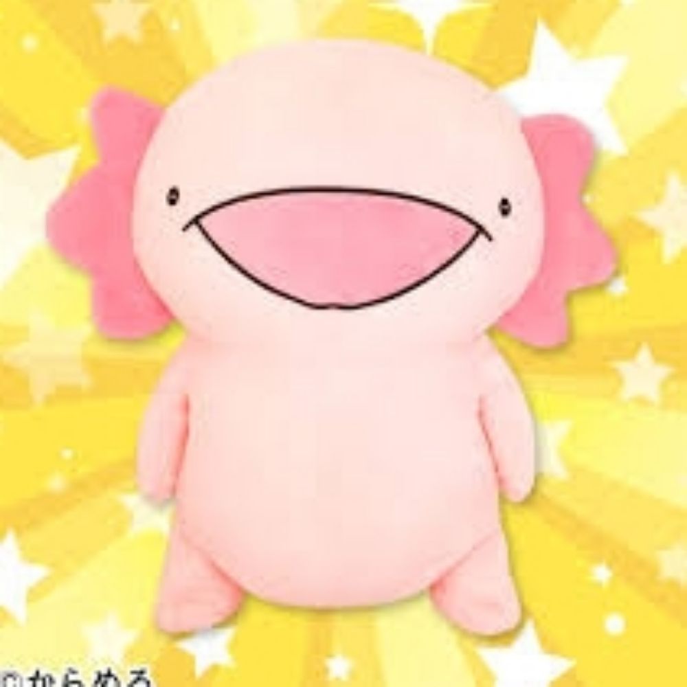 うぱ