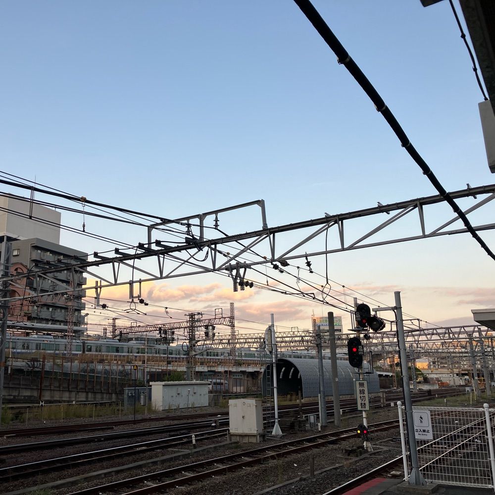 目が死んどる‼️