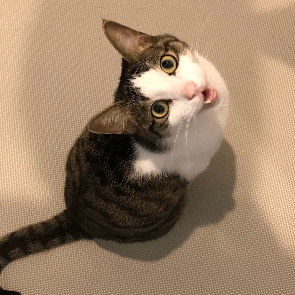 菅辺吾郎