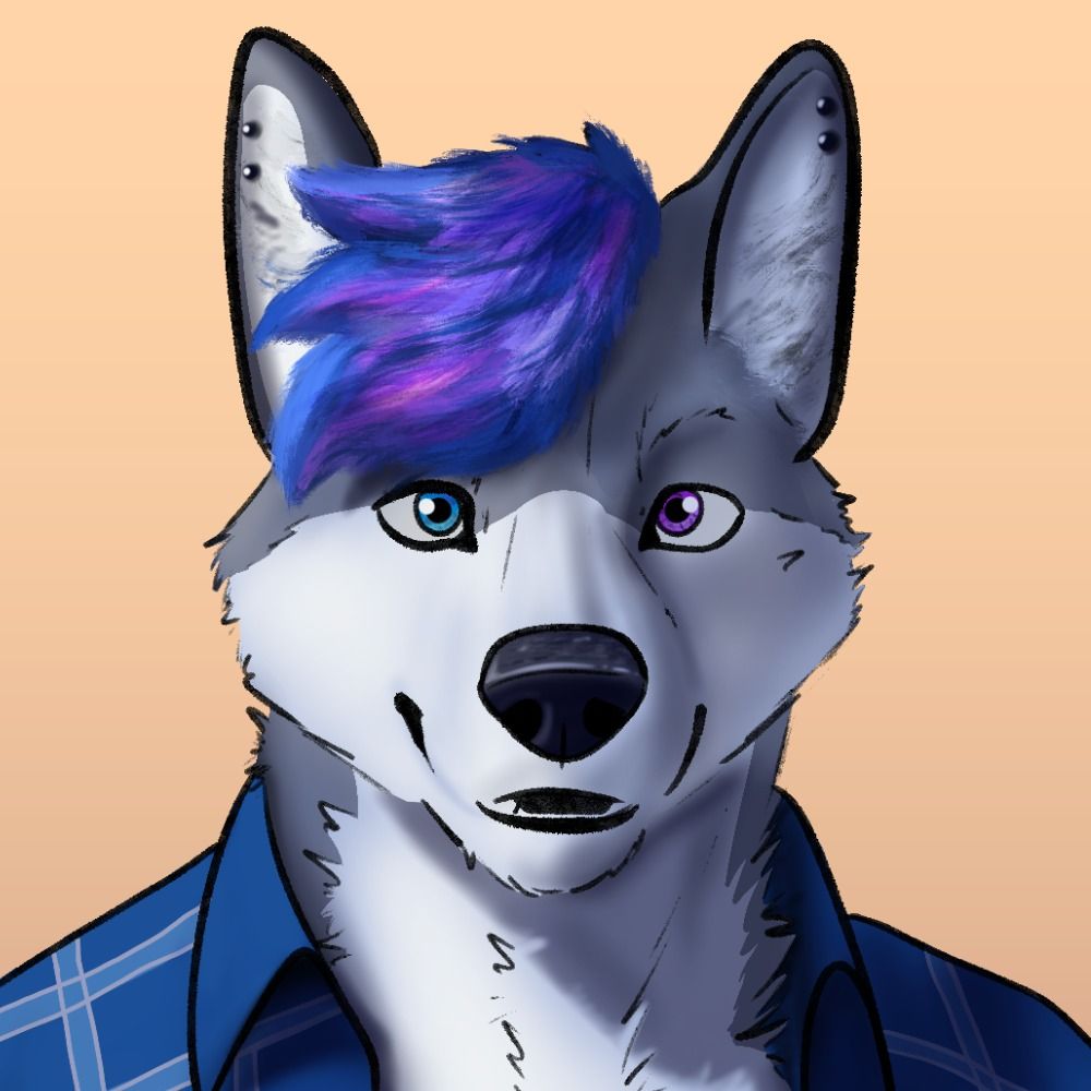 SeisTheHusky 🔜 FUR-EH!