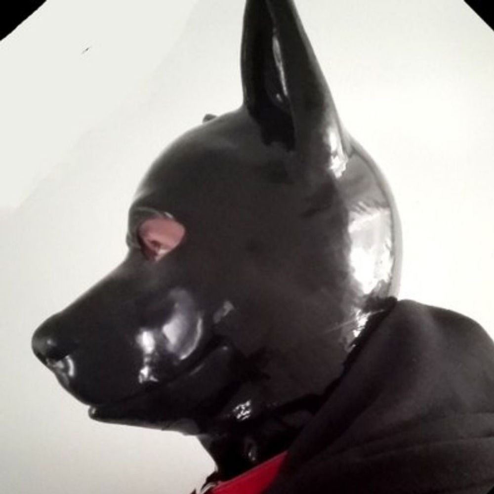 Puppy Jun 順
