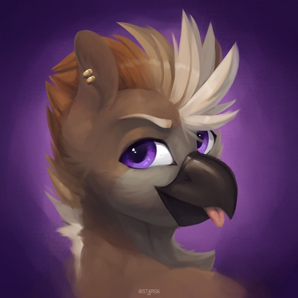 Aeto Birb
