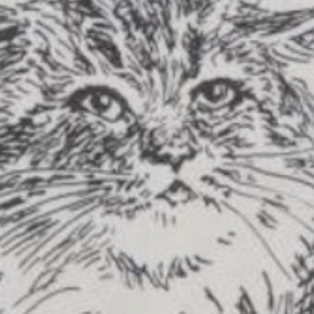 Ben.JS