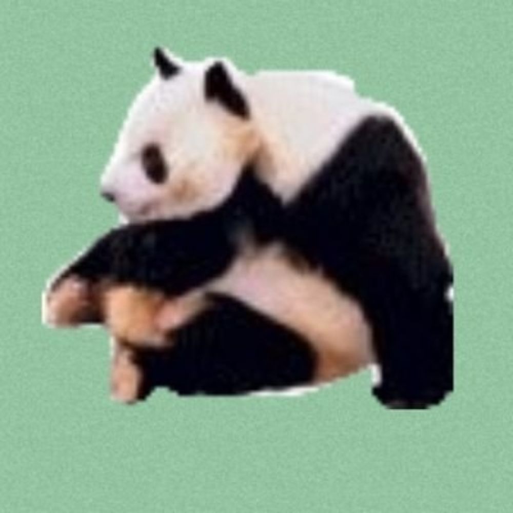 豆