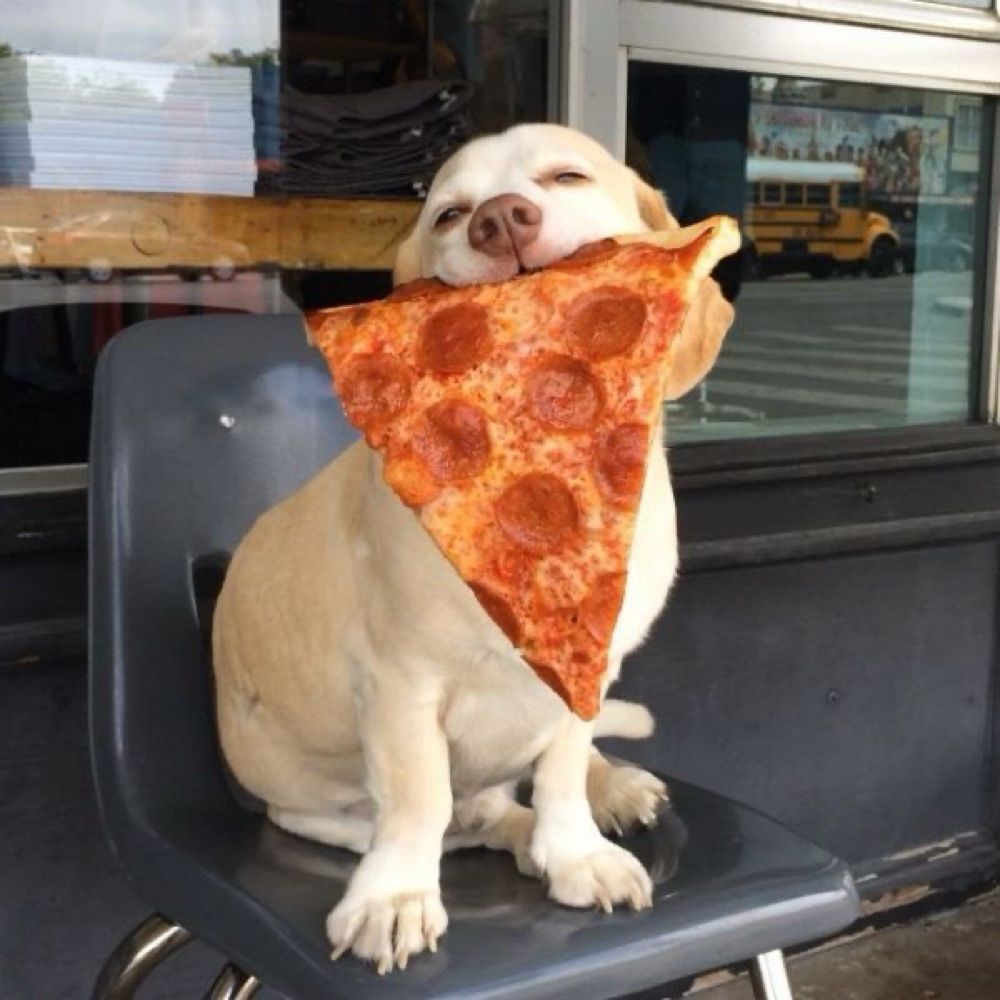 PizzaSaber