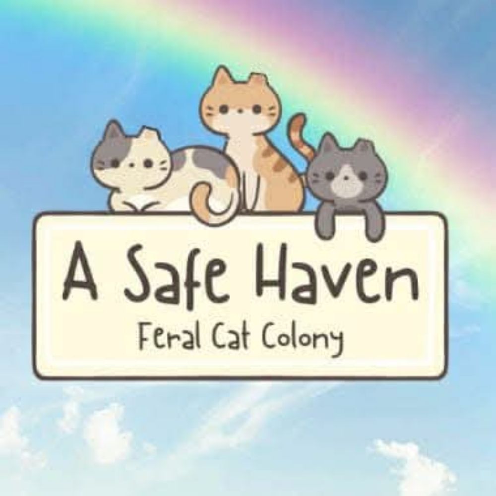 A Safe Haven Feral Cat Colony