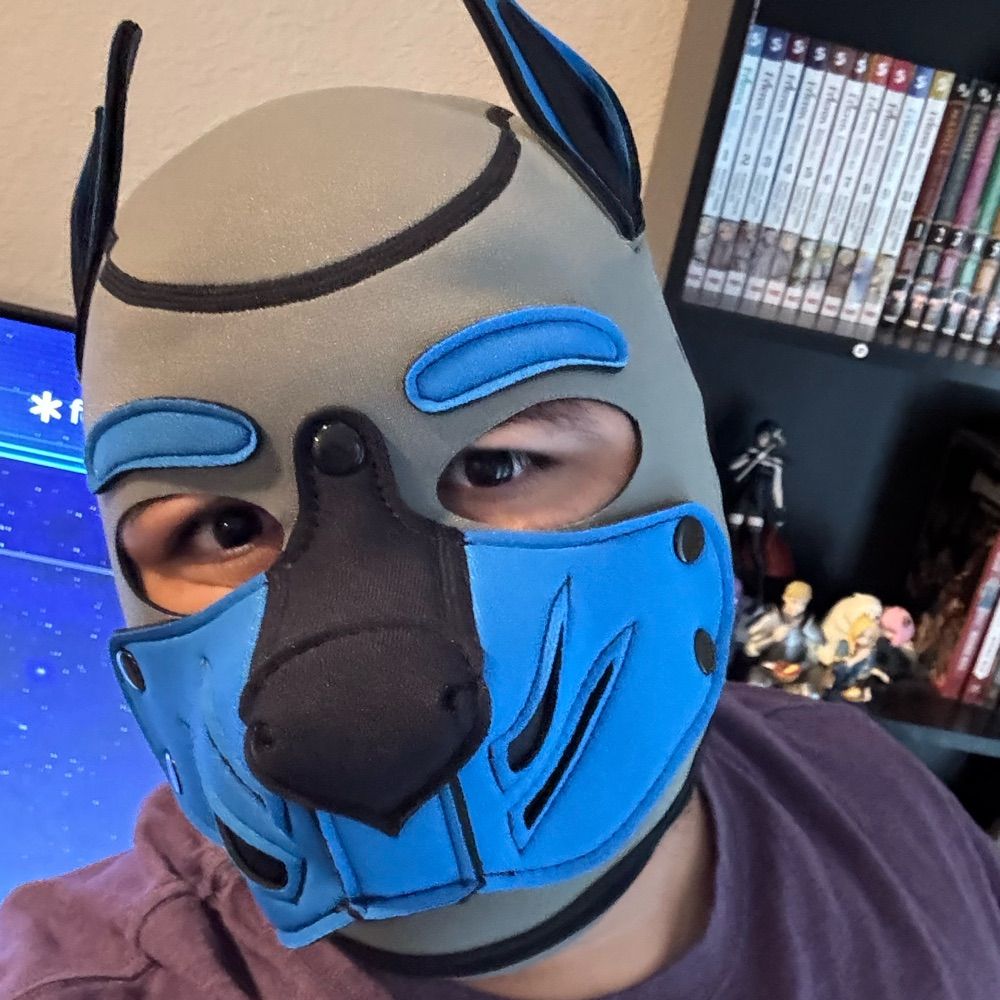 Pup Jayce