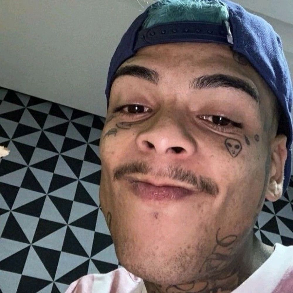 v e l l o z o 🦦