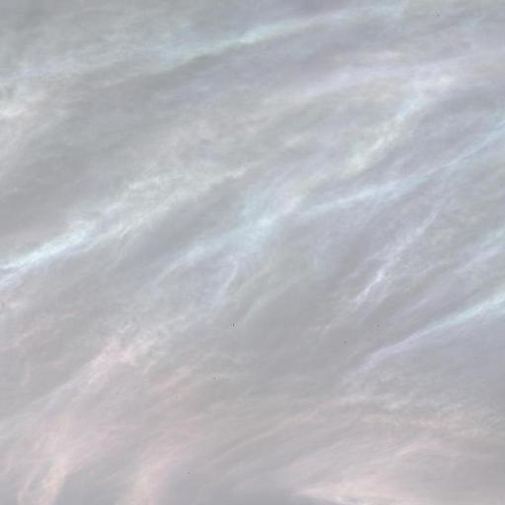 Martian Clouds Daily