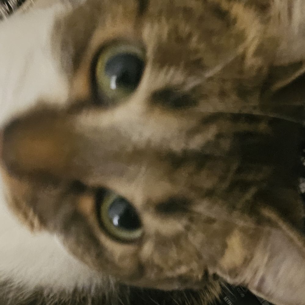 Kiki