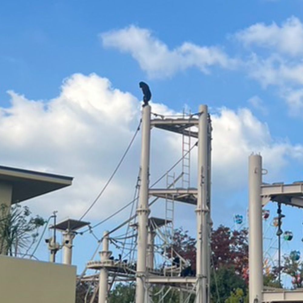 町田こーすけ