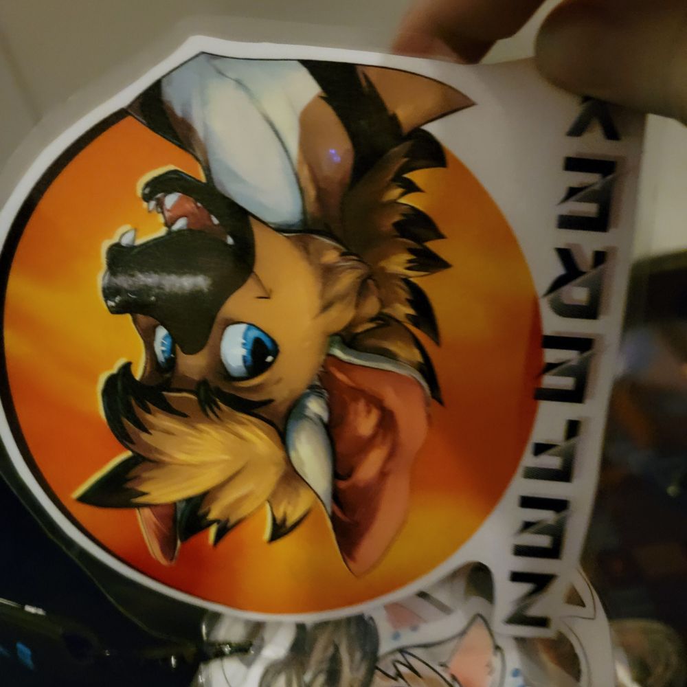 Zefzefzefzef
