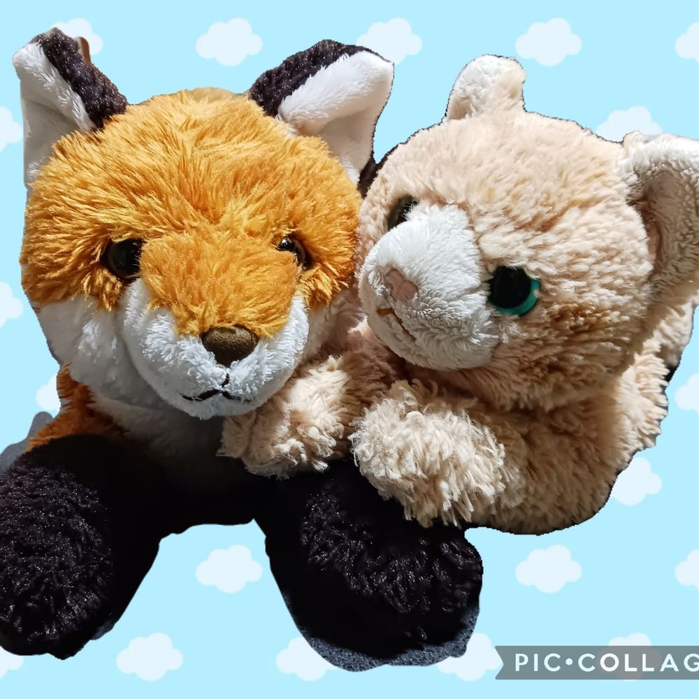 シエロ&ベルデ🦊🐱