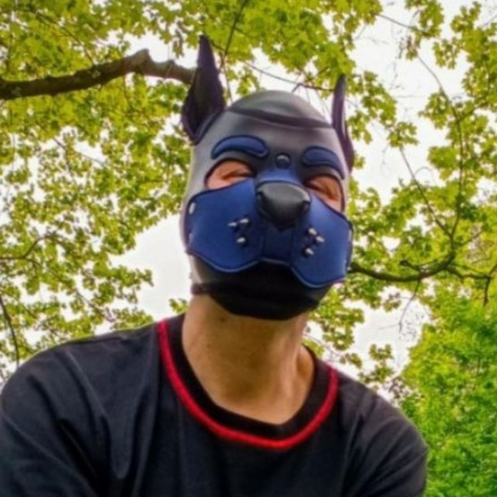 Pup Falk