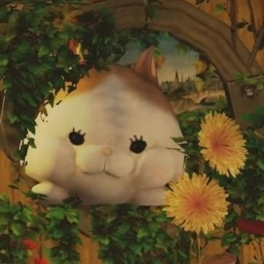 あーにゃん