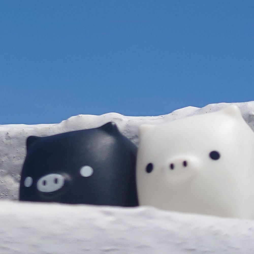 Qもんてす🦋