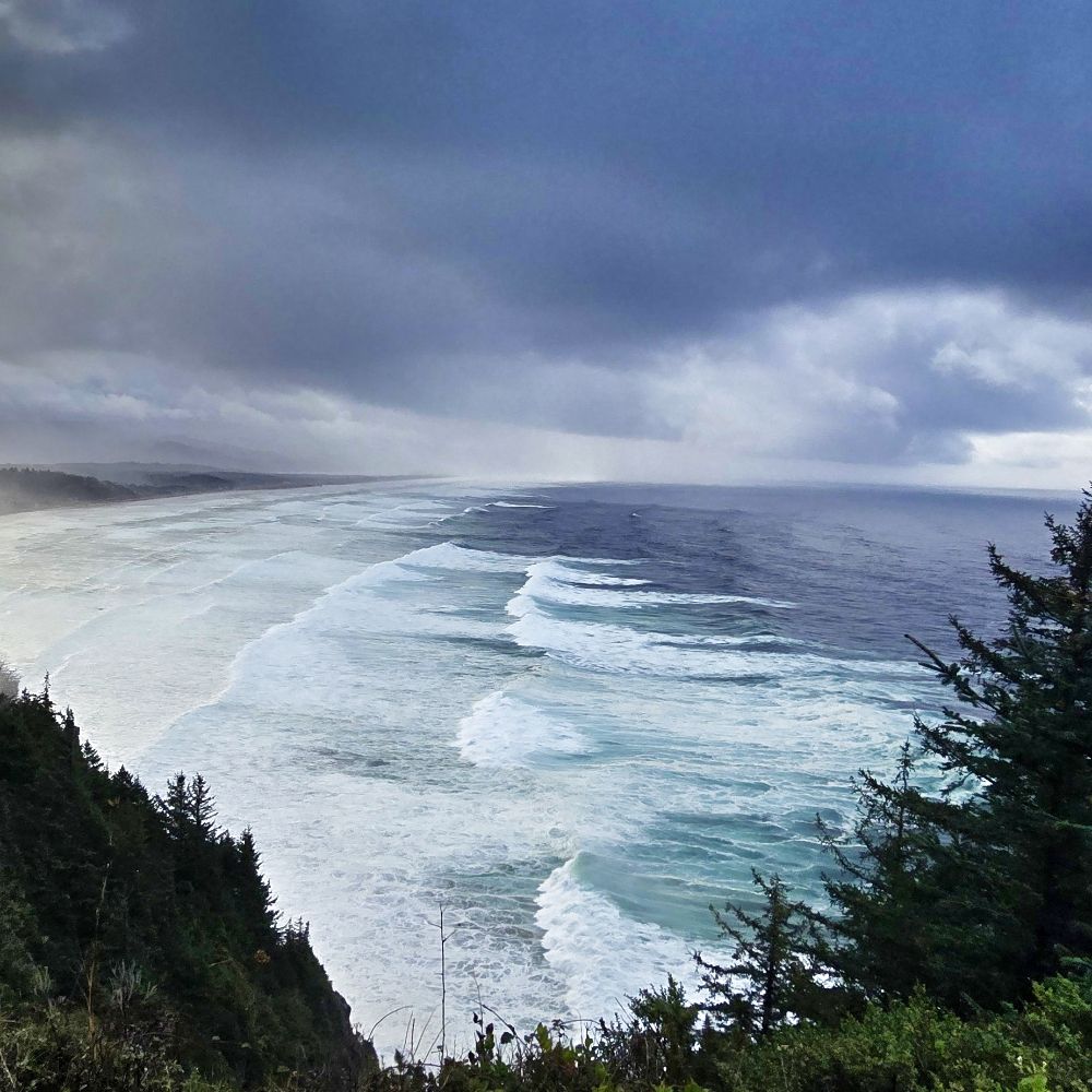 Chris Angelus - Oregon101