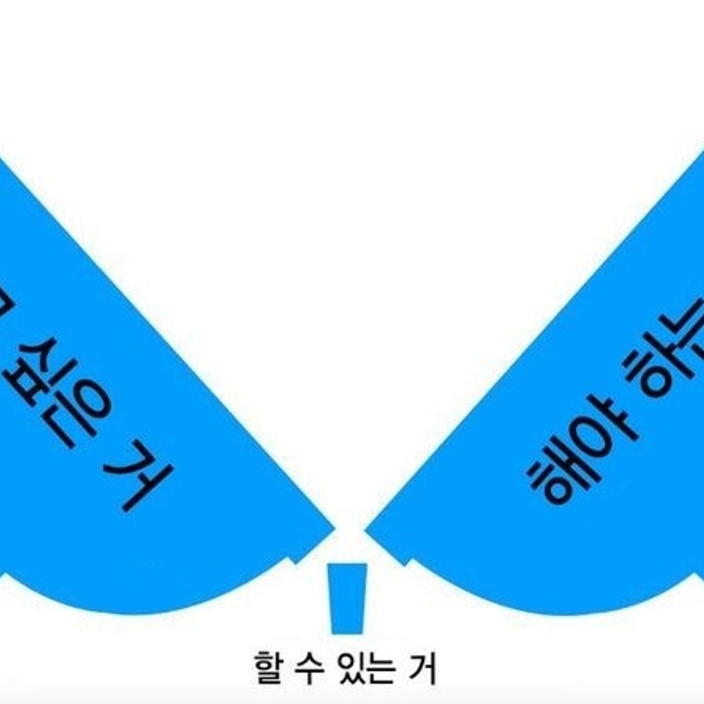 ⋆⁺🐋₊⋆미르
