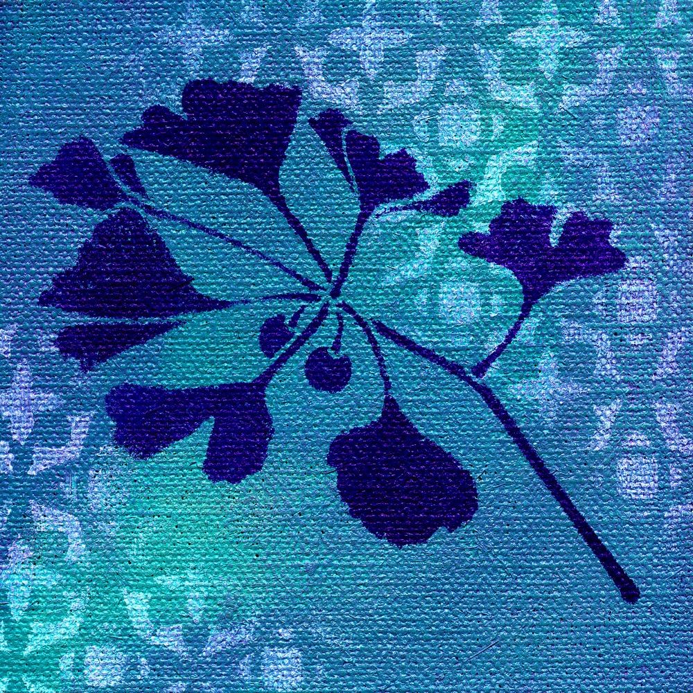 Cloudmoonflower