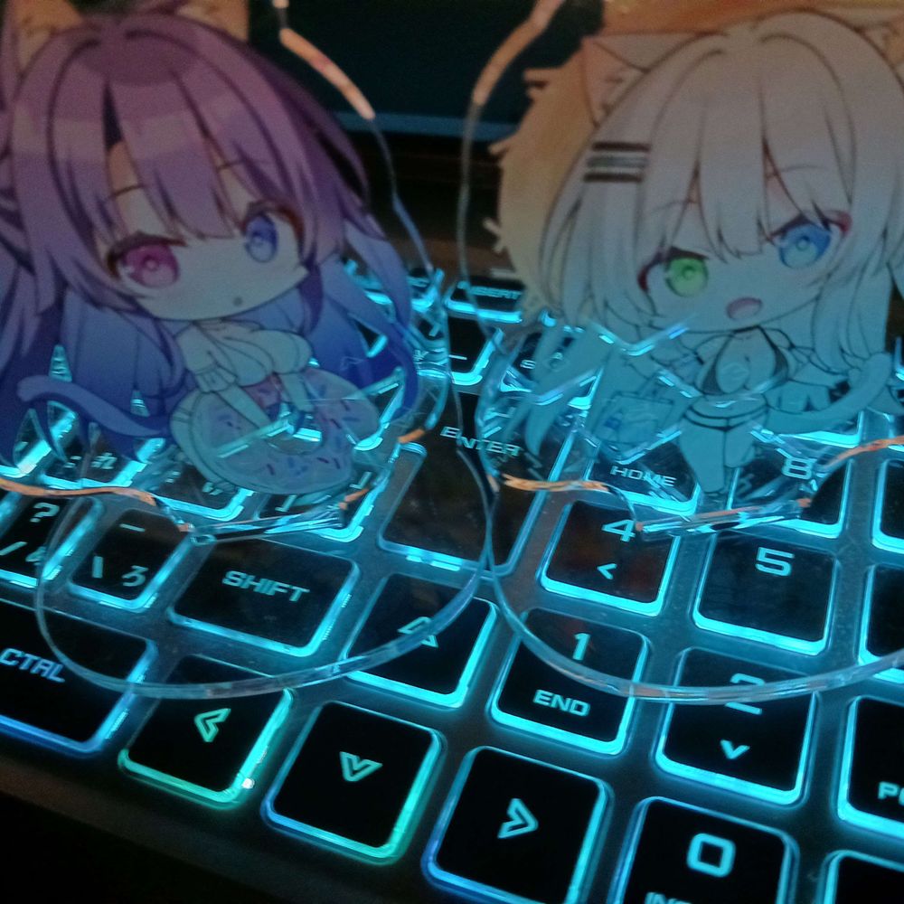 胡揚