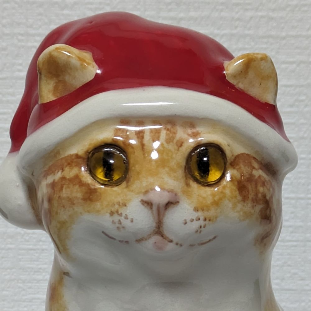 獣医学生ヨハネ