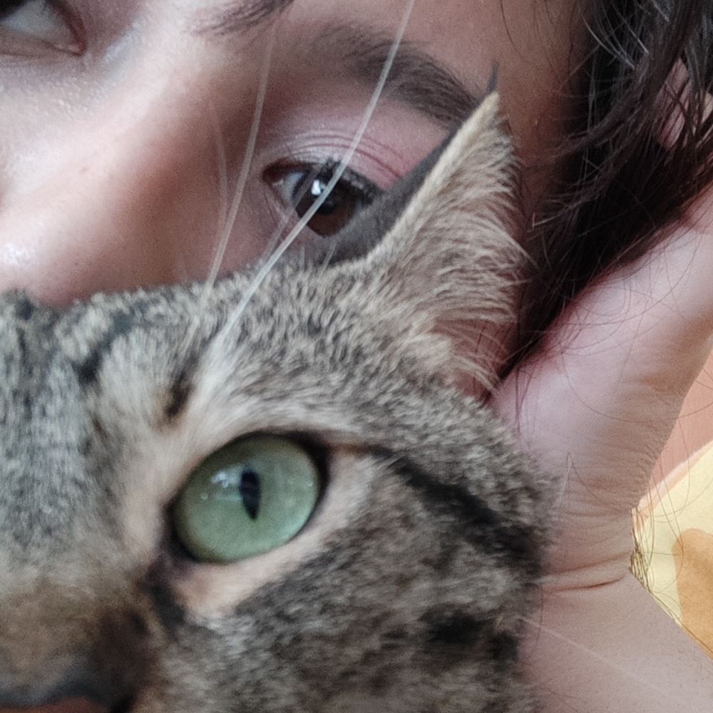 idil♀️🏳️‍🌈🕊️