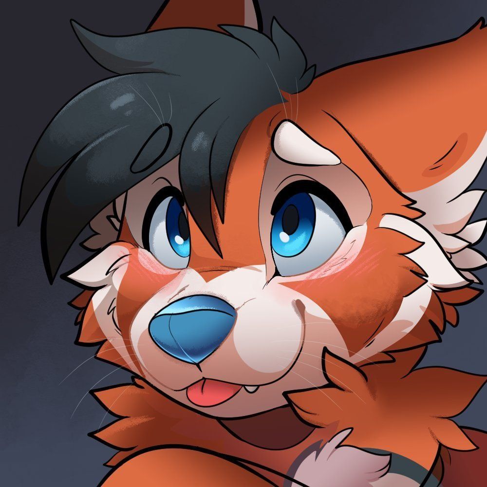 Rakki