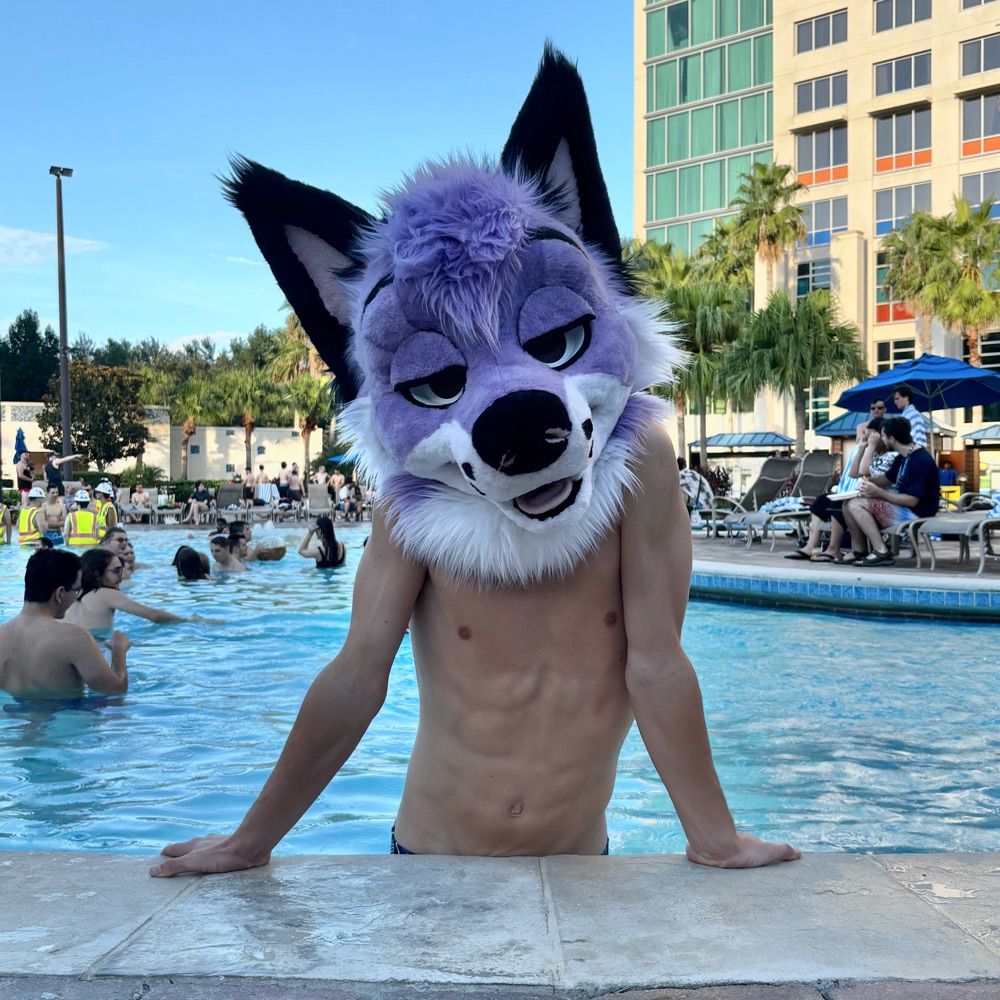 foxboy💟 @ college!! (hiatus)