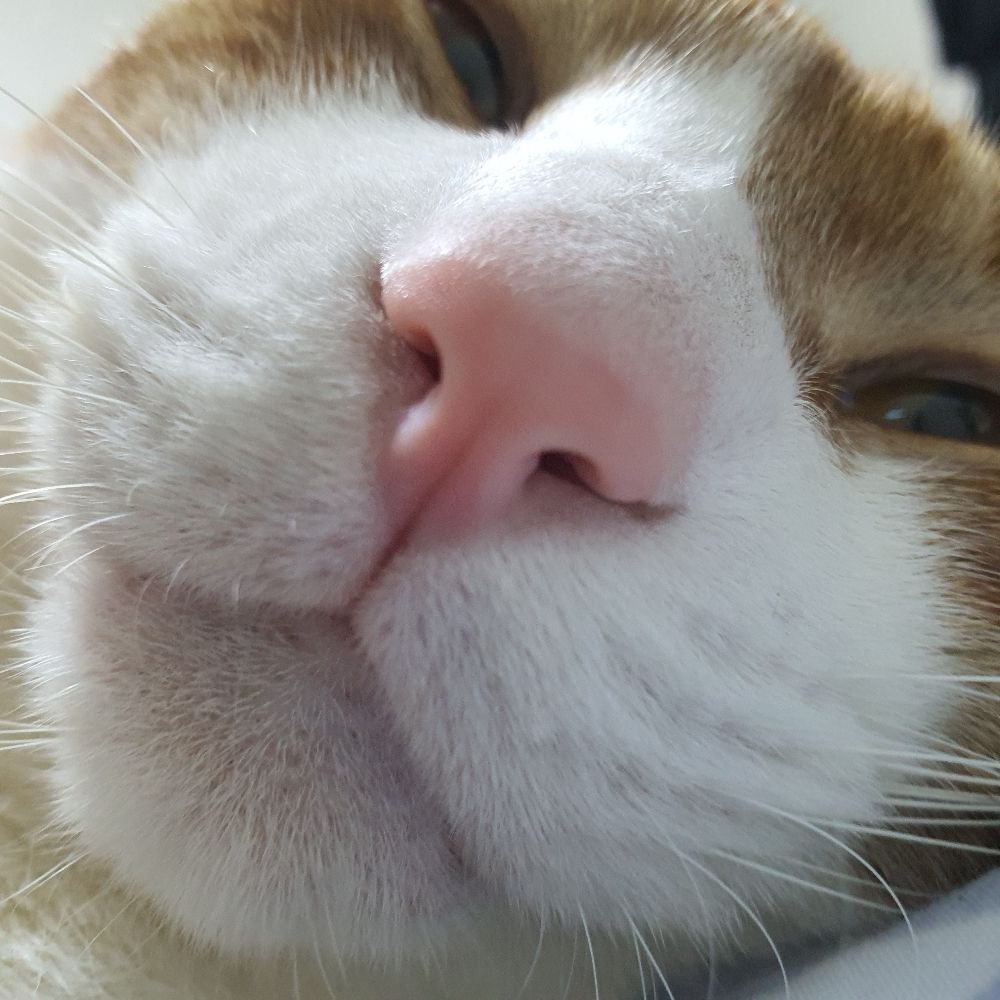 ㅇㅇ