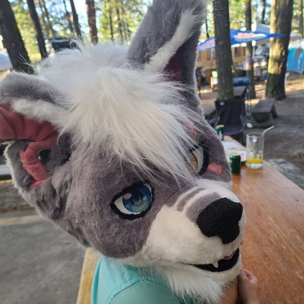 Cocodafoxx 🔜 FE - Howl