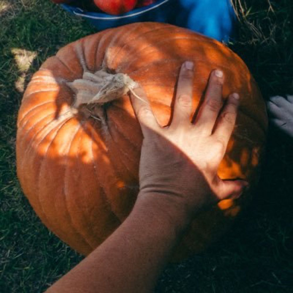 Daweedit | Pumper, Nudist...