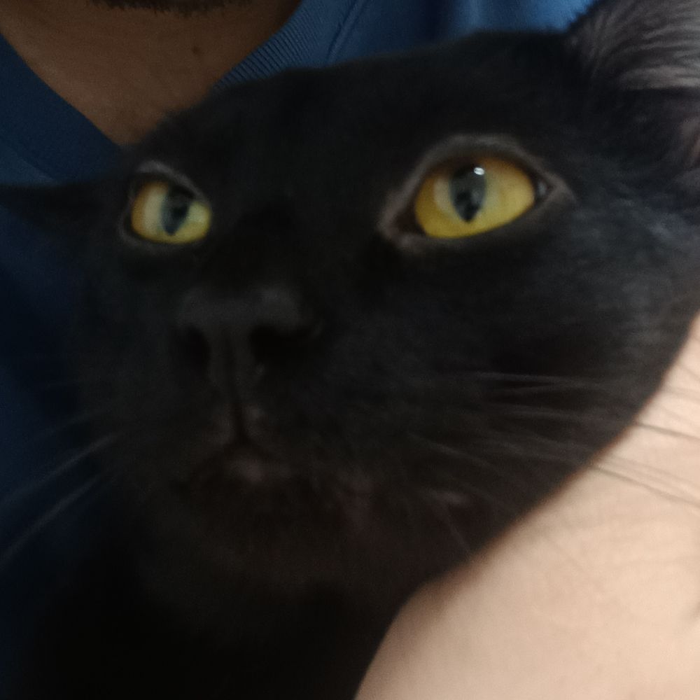 Carlos