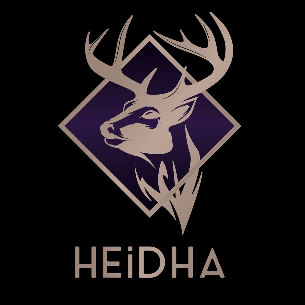 Heidha 🎮