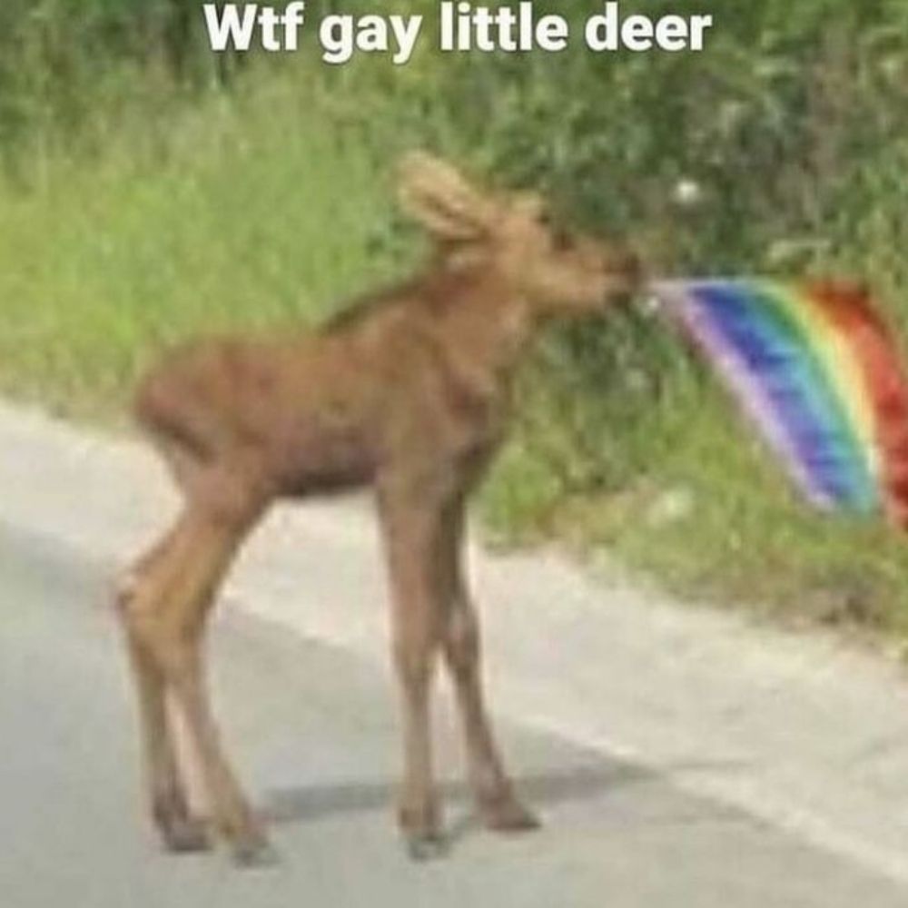 dammarchy