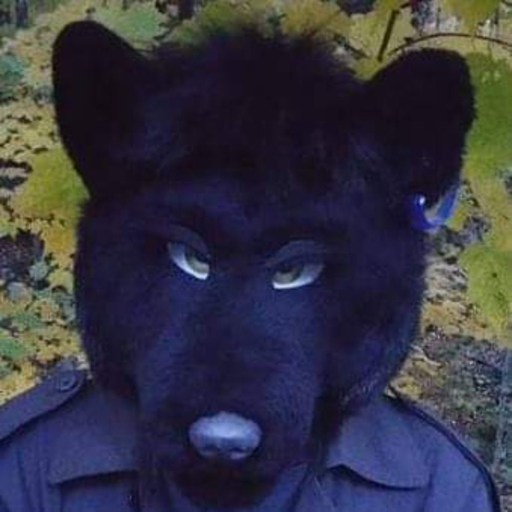 Vinnie Wolf