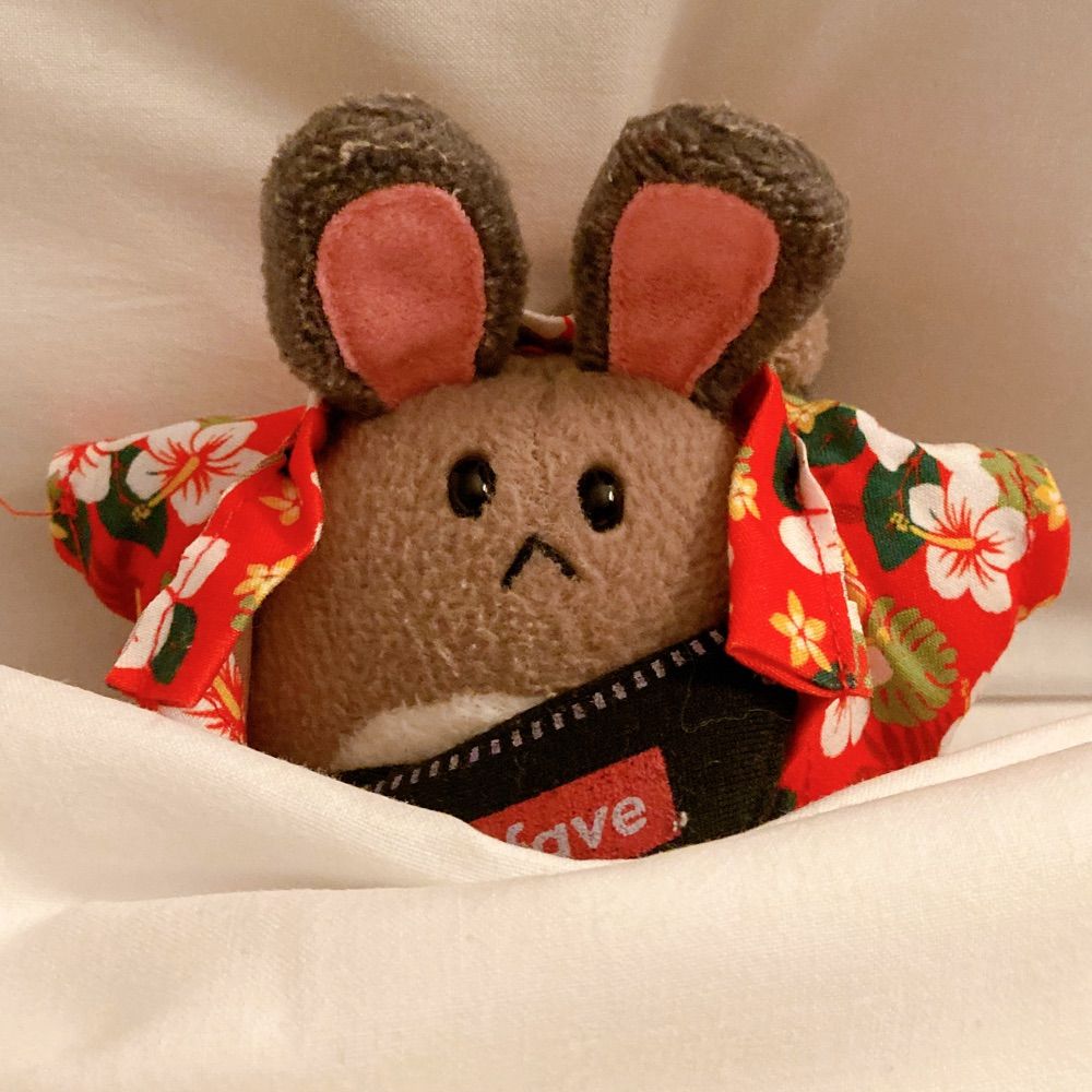 カワノジ