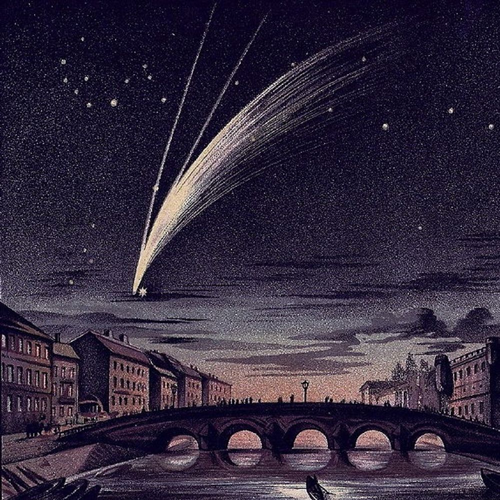 forestforest.bsky.social