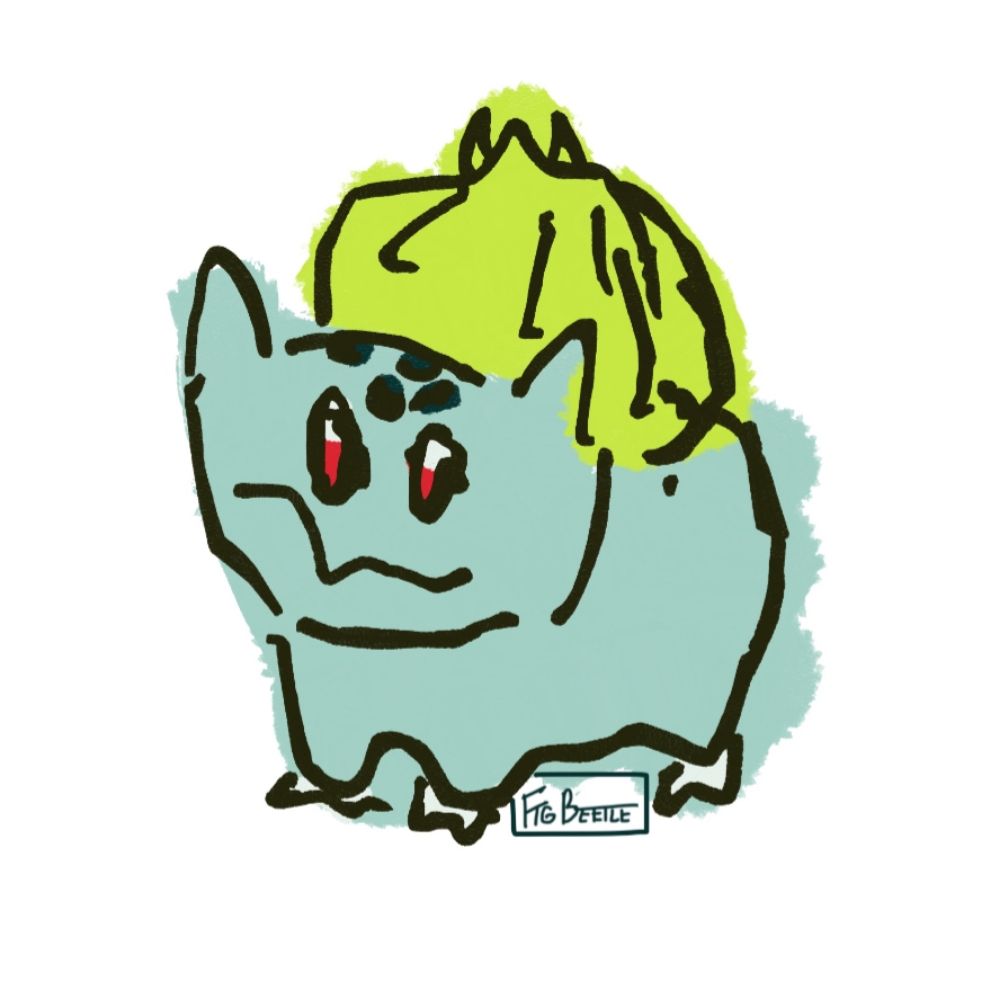 ☆Fig☆