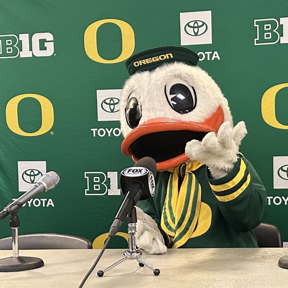 Sco Ducks