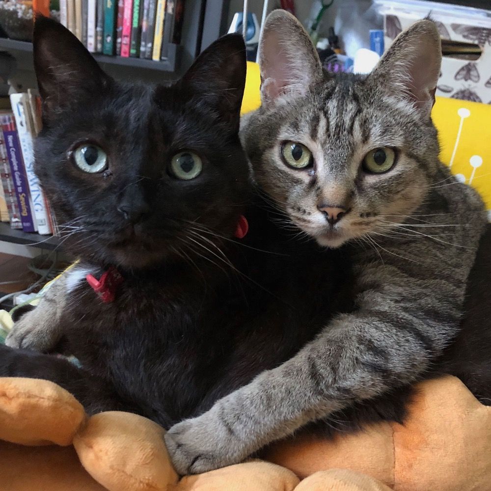 Henry and Kit (and Mimis)