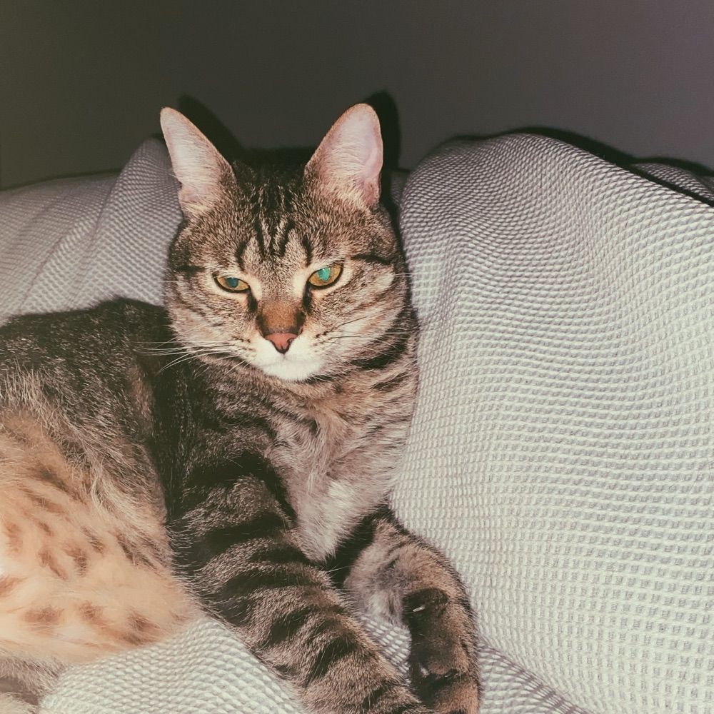 sara