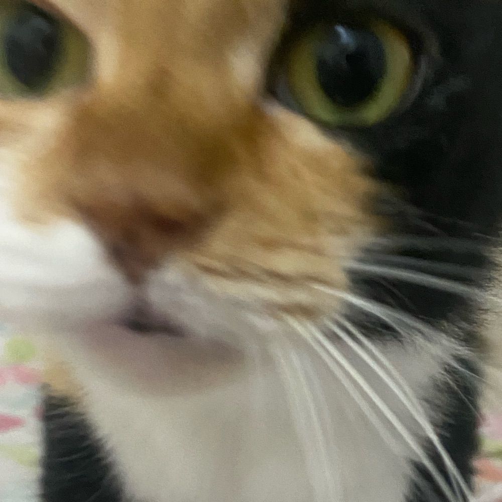 I💋