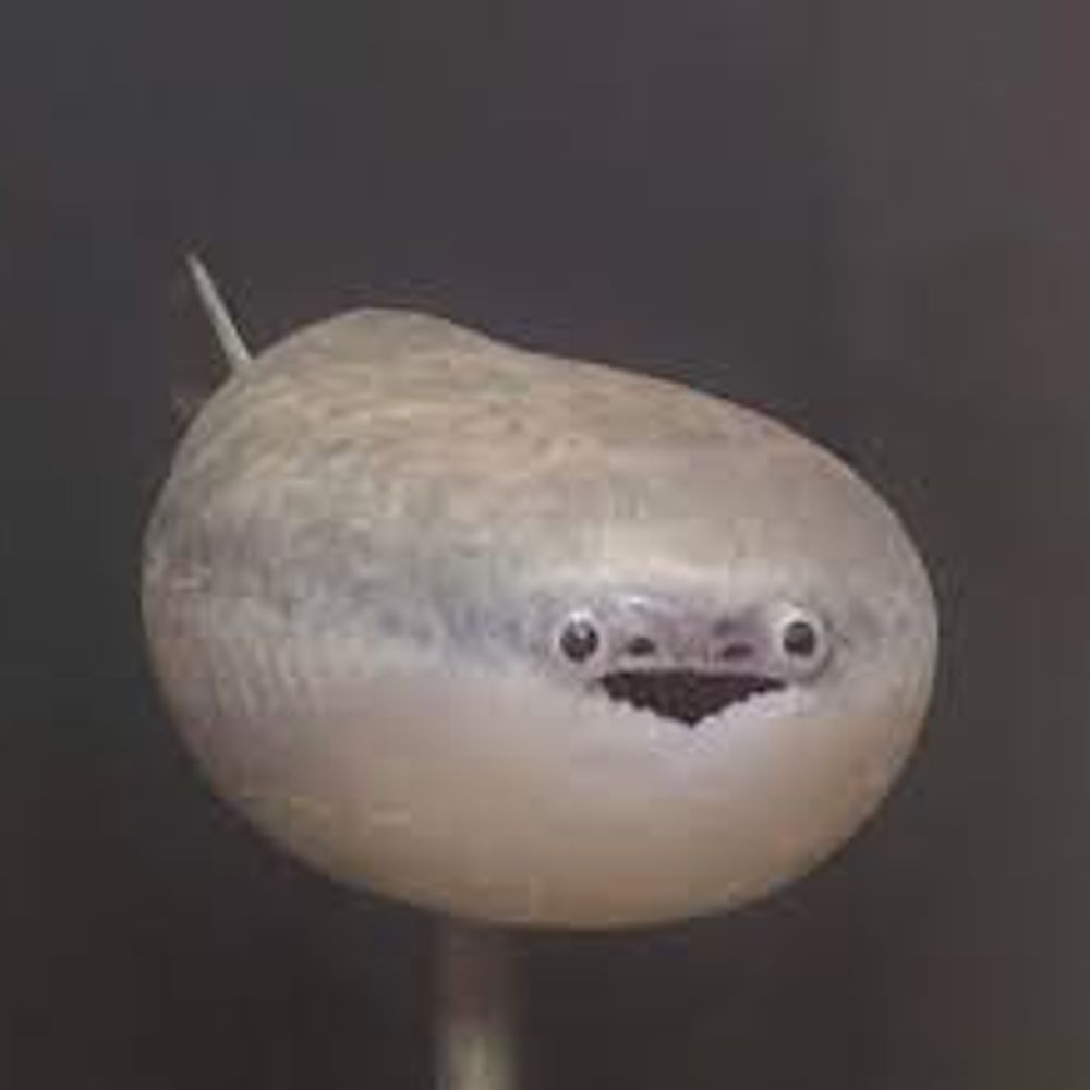 Tim